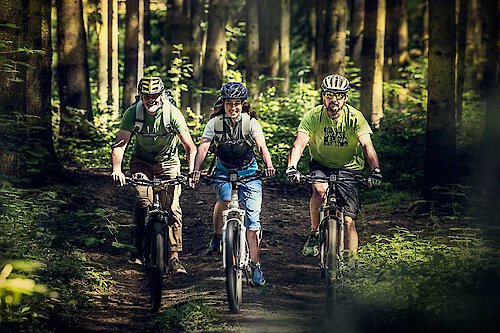 Urlaub in der Arberregion Bodenmais